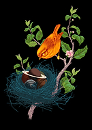 2024-08-14/07afc70953a4697a2600007c1c6d0275_43932ad0ca7fef0ffa8030511151d24a