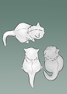 2024-08-20/c4bc482d0b50821a28a35685b9127dea_21462efd9280fa062ed25226303aa997