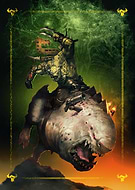 collection-preview-0