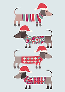 2024-08-27/90d5a6b6000998df952d4a4438f296bb_a4de9b7a027088a57094a4b5974f30c8