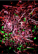 2024-08-27/d7af04ad59735a4a9b81563df0ae7275_3b841d8df47703a45362dc8a794336c6