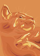 2024-09-01/f68f596a3ccfe78213e855c834637485_c686b09547bc0c95b2390dfa34f755bc