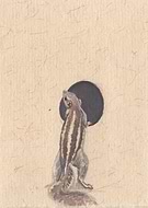 2024-09-02/66be1f0b4c7ff859e6cf211265aaf115_b71b060083162376188081314733148f