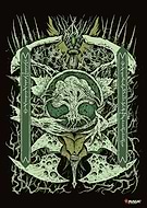 collection-preview-0