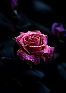 2024-09-04/10ba5475f321143cadff44a0f1285a85_2d376faa91df46d336e61620b5e793fd