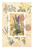 2024-09-05/3611cbc0-6831-4aaa-bc55-65b13f884ca6