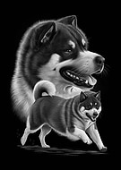 2024-09-06/5a223d67-bf02-4c32-bc42-98c7132076b1