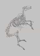 2024-09-10/0f929d72f35bf1feb5fcb73ee8cba1c3_36091d371949631edf327a04989d2f9d