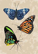 2024-09-10/532355f7b3defe13e423f73aa43ea411_690f20f18fb18791bca8ae2741143082