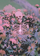 2024-09-10/b849a1d7-1c65-4e04-9ad5-b1b8a0ec0d6d