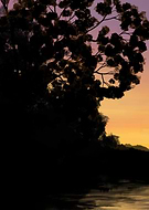 2024-09-11/55ae5d78-5a56-40a9-bffc-89fd7506d731