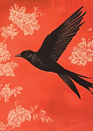 2024-09-12/0f2799a5-ee0d-465b-b647-e83dcd94c3c3