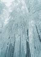 2024-09-12/ef31de4d-c7d9-4de1-9628-87069ae90344