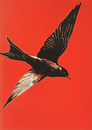 2024-09-15/dafe5727-2250-4fc5-b893-86c3da5c9782