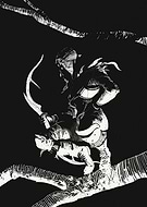 collection-preview-2