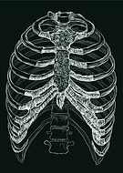 2024-09-17/713f8039-24b8-4f41-961d-b0bb4b76b1e2