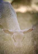 2024-09-17/755c3fef-184b-4907-9c4d-35d2c3ec11ff