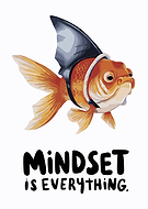 2024-09-21/49738a3c-84c1-4c21-a5aa-722398f0a540