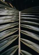 2024-09-21/663c067c-73fb-4809-9178-16deecf749b9