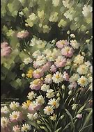 2024-09-22/22c11937-ed01-49d4-a2fa-ea48d0ae1f26