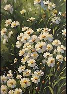 2024-09-22/68435199-03ac-4e95-868e-059f90bc9ab7