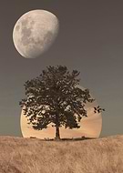 2024-09-22/ce256272-aee2-4073-b8bd-62d33841cb35