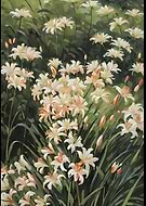 2024-09-22/fa5d00d1-b94b-4045-9773-825c92c43298