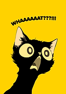 2024-09-23/2f95fd18-9609-475b-bb98-6aabae1b8d86