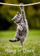 2024-09-23/c29ed49f-7117-4ea9-9df6-f54b9138531a