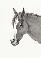 2024-09-24/15ef2cf2-a339-4959-a256-daf7c4449a99