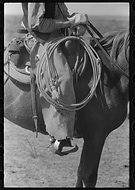 2024-09-24/87d9d95b-2082-4e43-a041-dd39dc2ddc6c