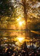 2024-09-24/d4704808-e8b9-47d4-9670-58869d66a74e