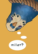 2024-09-26/f54fd2bb-e8d3-4ccd-8bf4-d1ed96d676a8