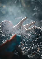 2024-09-29/2d40864c-0a36-4de1-a3b2-3f6228be344b