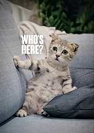 2024-09-29/b6e57e95-8801-4378-b5d7-0c9662cf79f7