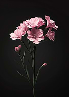 2024-09-30/55895b31-2e88-4502-a267-ae297407d800