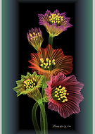 2024-10-02/4d218d91-49ff-436e-a616-bdb99b2303b0