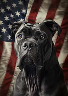 2024-10-04/19baf7cf-e46d-4386-909d-e9f18692ebe1