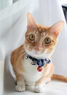 2024-10-04/7566535e-7b49-4c93-bbec-443de767ed09