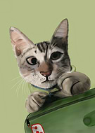 2024-10-04/817e8643-2740-4640-9c85-0f29e38f66f3