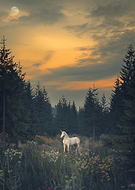 2024-10-04/eec5b45f-3dbb-4d77-aeea-850add2cfa35