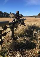 2024-10-06/bf9d31b1-04ed-42aa-ab4b-147d94cb0ac0