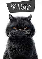 2024-10-08/1692a746-712b-4ea2-92c7-4936af0f9ce0