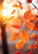 2024-10-08/64846fa8-c60f-4125-9d8f-507e0472f2c7