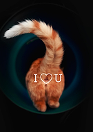 2024-10-08/b0cefb60-207e-4e34-9128-2555546bc434