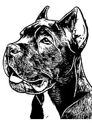 2024-10-09/5f78c97b-98ff-46a6-96c6-934eba15813b