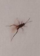 2024-10-09/634c6e19-515e-4e0c-bf71-436912d09936