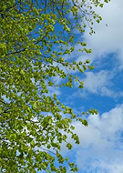 2024-10-09/ea97912d-25d2-4e0d-aa4d-f758f7e9c2ef