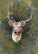 2024-10-10/18dd47ba-eeb1-4518-bb5f-d1ad1076f74a