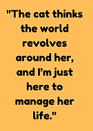 2024-10-11/935af0ad-a808-463f-8d25-92e50096f03e